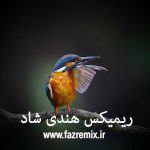 دانلود  ریمیکس جدید هندی شماره 005